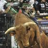 The second round of the 2009 Professional Bull Riders World Finals at Thomas &amp; Mack Center on Oct. 31, 2009.